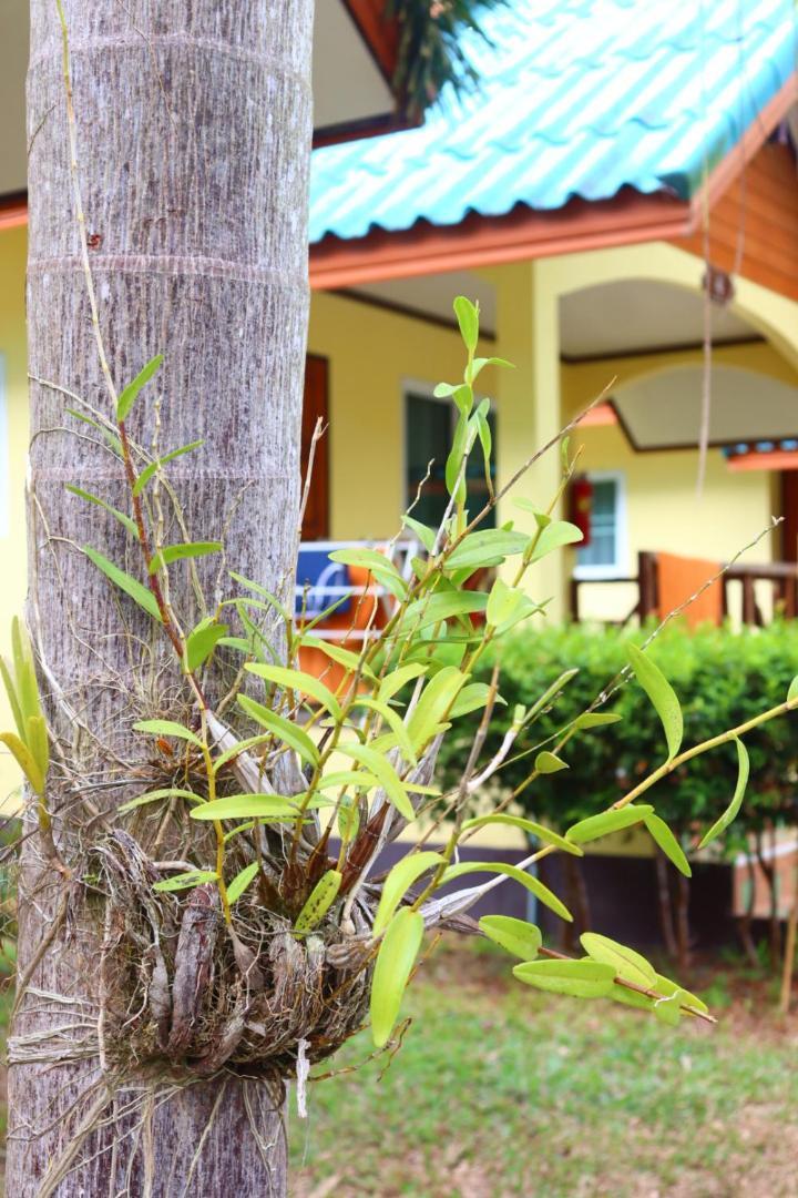 Baanrimklong Bungalow Koh Chang Exterior photo