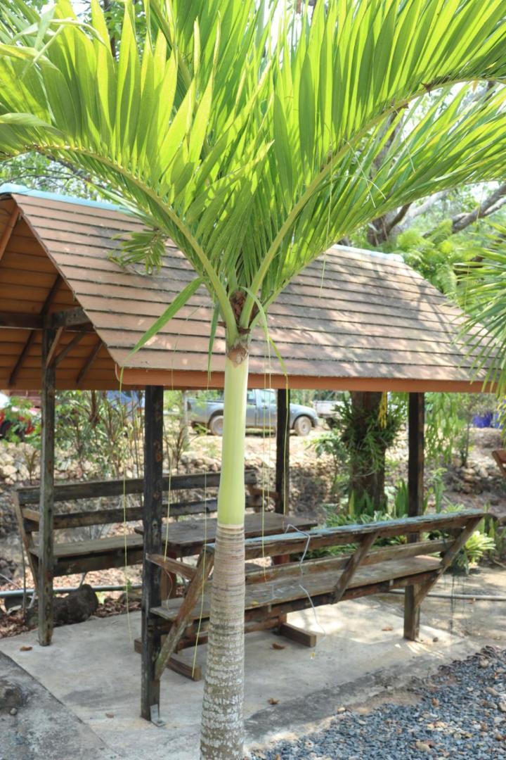Baanrimklong Bungalow Koh Chang Room photo